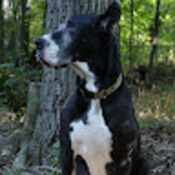 Meet your Posher, Peter - Picture 1 of 1